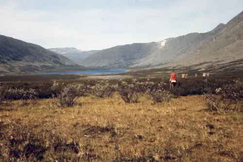 LP-Uural1987.jpg