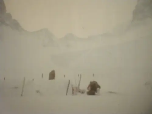 Kodar1979.jpg